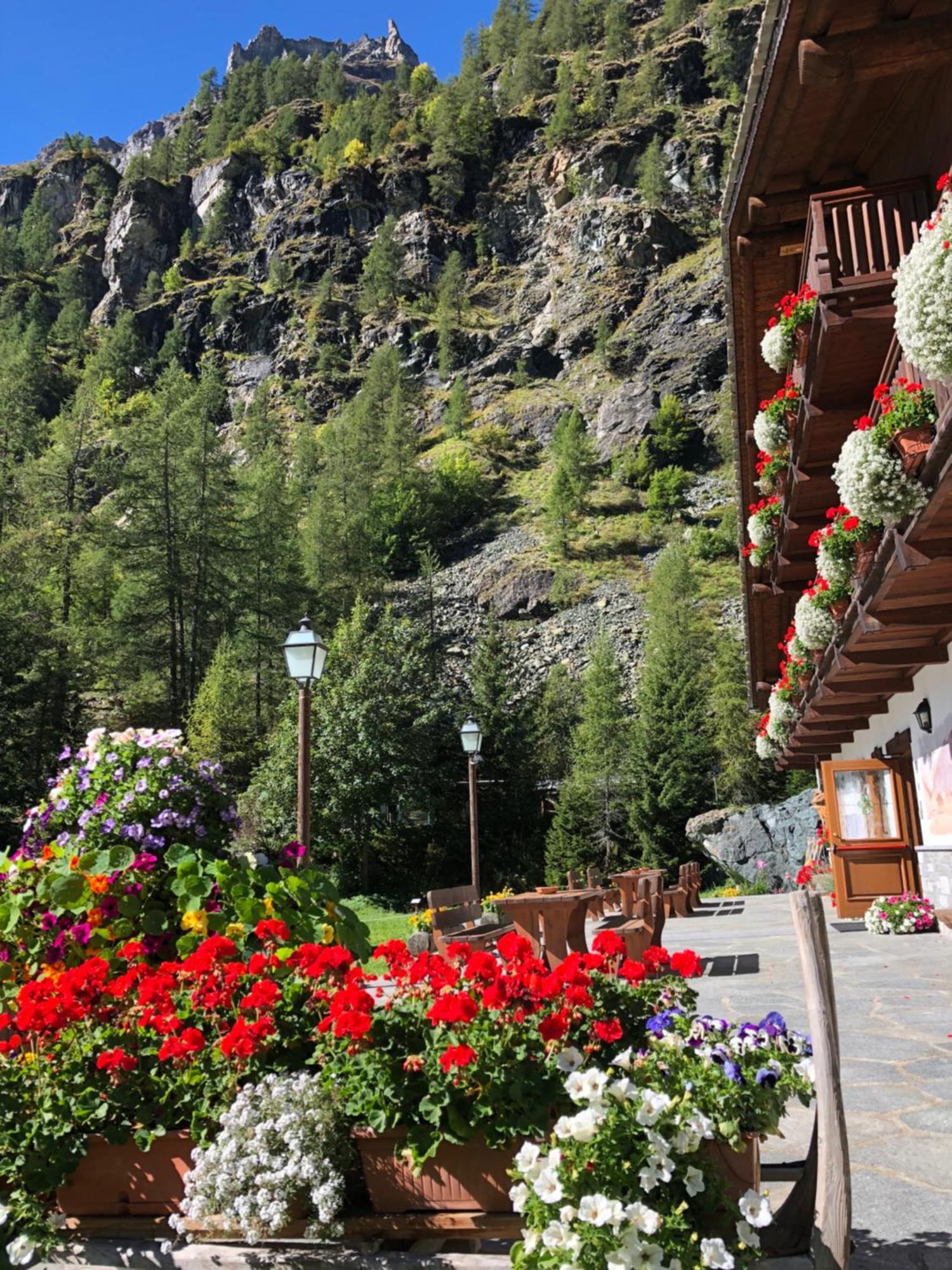 Residence Oberteil Gressoney-la-Trinité Eksteriør bilde